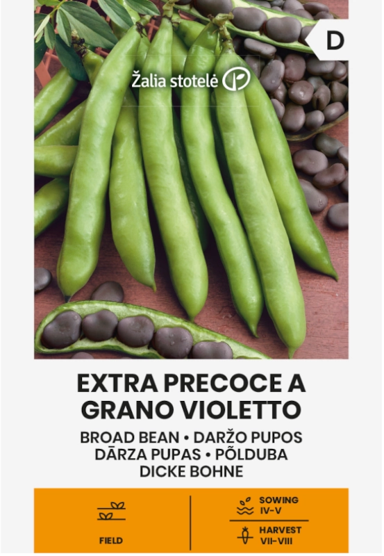 Bób Extra Precoce a Grano Violetto odmiana o dużych ziarnach nasiona 30g Žalia stotelė sklep rajogrodnika